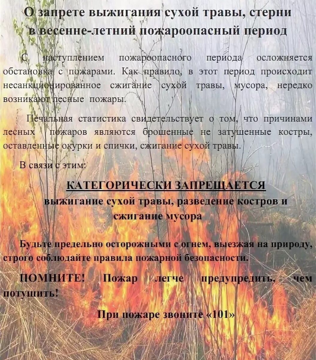 Меры пожарной безопасности в весенне-летний период.
